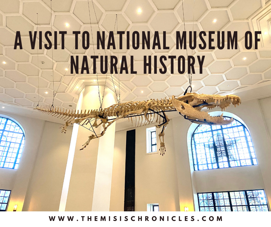 national-museum-of-natural-history